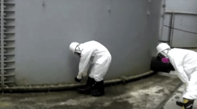 Fukushima– the untouchable eco-apocalypse no one is talking about