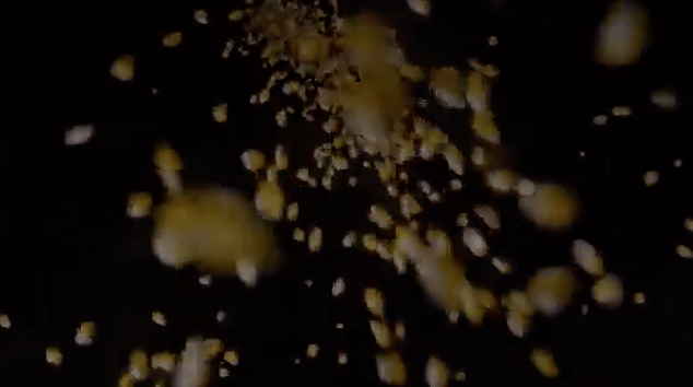 Seeds of Life – Control Seeds, Control Life