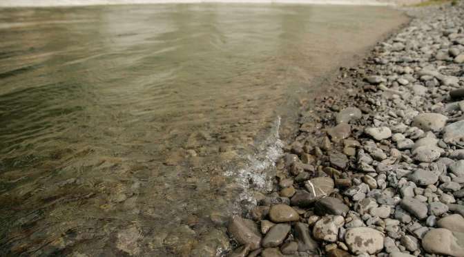 Rangitikei farmers’ ‘spray and pray’ activity is grossly polluting the waterways