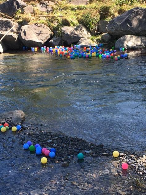 Waikanae River balls