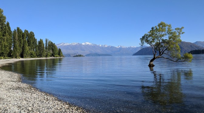 Why Silicon Valley billionaires are prepping for the apocalypse in New Zealand