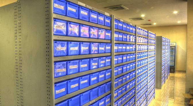 900, Yes 900, Studies Prove Statin Dangers