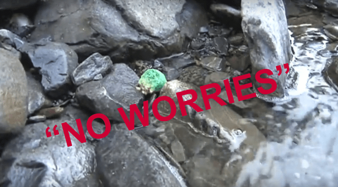 In 2017 the NZ Govt effectively excluded the aerial distribution of poison bait, from the protection of the Resource Management Act – still trust them then with your safety?