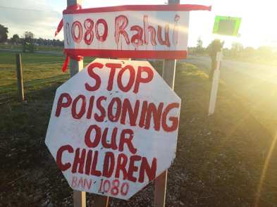 35544806_793212164202895_4737011386008207360_n