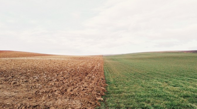 Soil levels of organic carbon & nitrogen have declined following 50 yrs of synthetic nitrogen fertilization – the dark side of nitrogen fertilizers