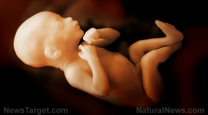Aborted baby remains discovered in warehouse of biotech company that ran human body parts trade in America