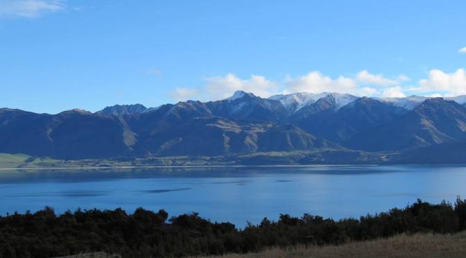 School holidays still & Corner Peak Route in the Timaru 1080 drop zone is still littered with whole cinnamon flavoured baits!