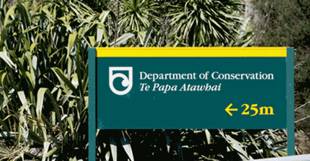 With certain species on brink of extinction, two top scientists are lifting the lid on DoC’s “toxic” culture of corporate ideals – “the department has lost its way” says one