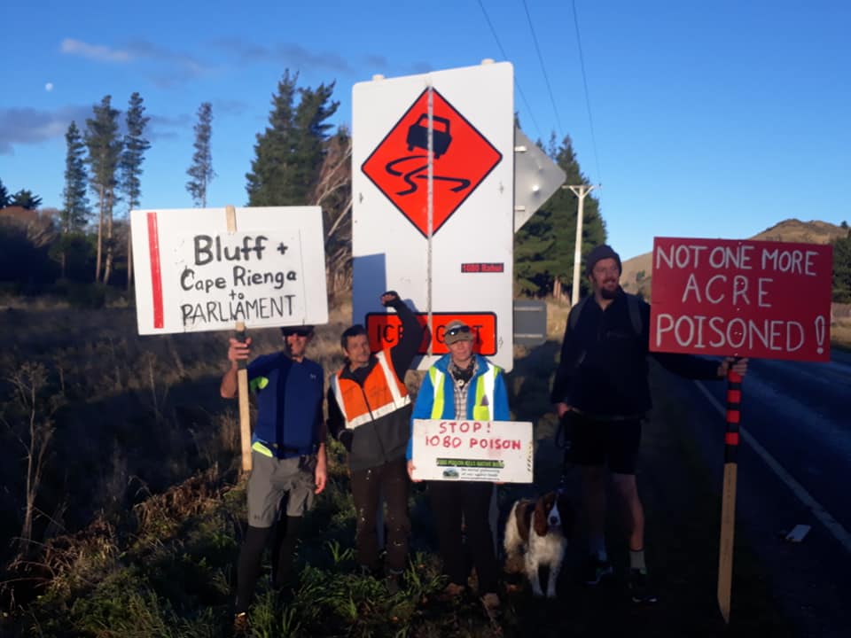 bluff to cape reinga
