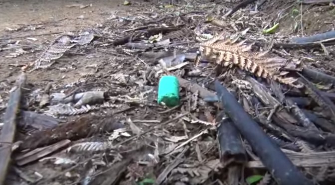 1080 pellet on ground