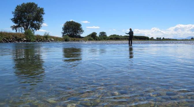 Two of NZ’s iconic brown trout fisheries are being deluged with 1080 pellets just weeks before fly fishing season begins