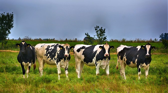 Take a stand against that ridiculous fart tax! (petition)