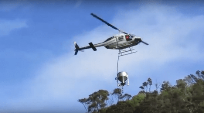 Fight against 1080 goes to Te Taitokerau Māori Land Court