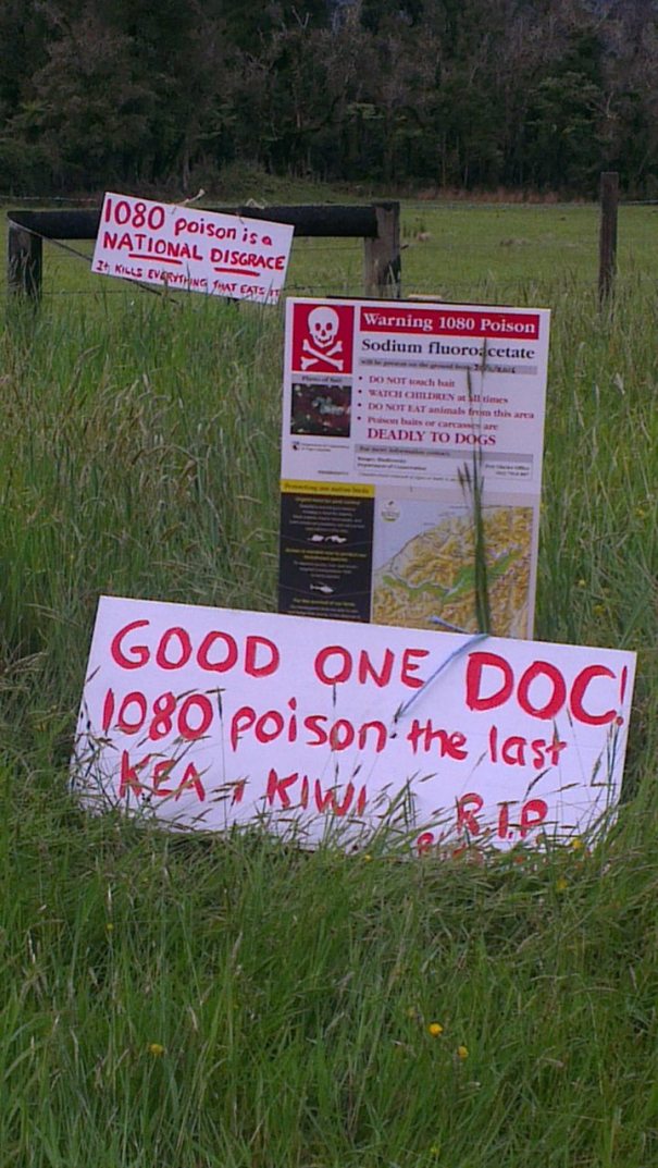 44981035_10213440013739624_315726168370184192_o