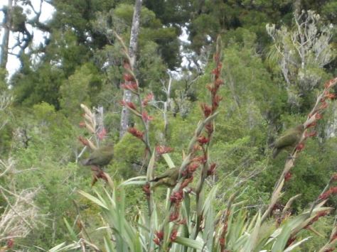 44995405_10213440002579345_253415895236345856_n