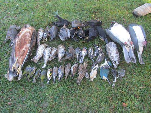 kahurangi nat park jim hilton