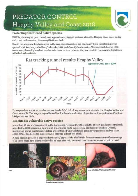 41990613_2210023522611295_278666141113516032_n