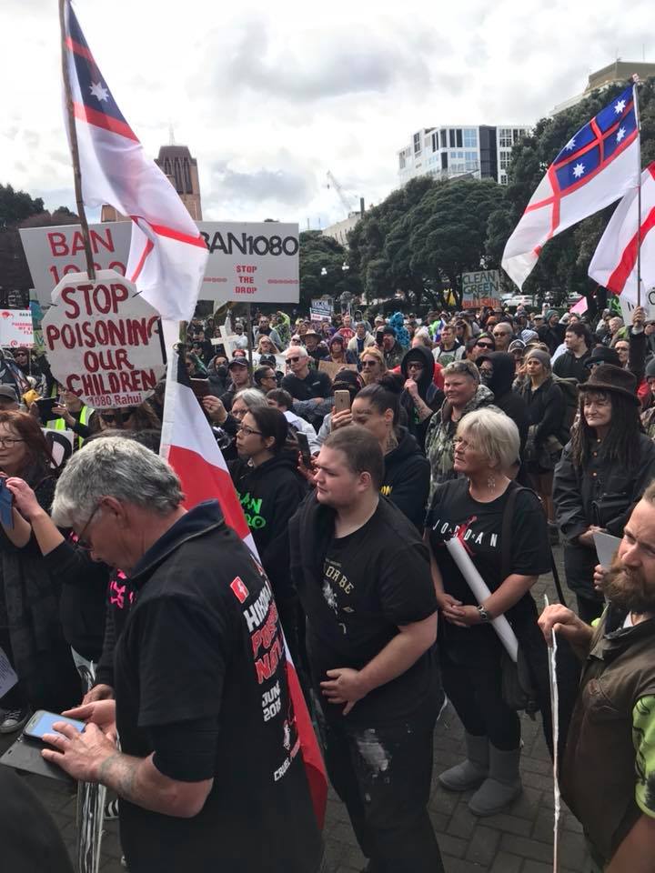 41223424_10217168251182559_9073396967198949376_n