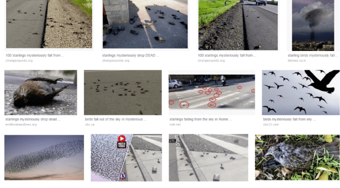 Is 5G causing birds all around the world to fall from the sky?