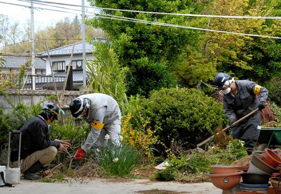 understimated radiation Date jan 9 2019.jpg