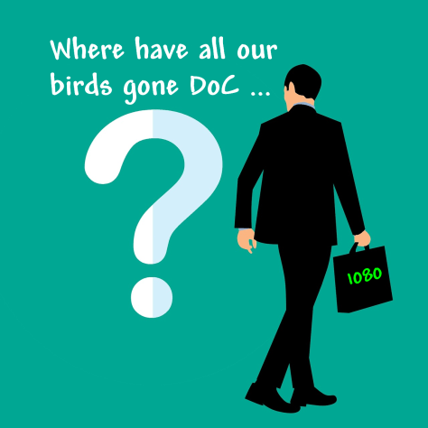 Doc Bird deaths
