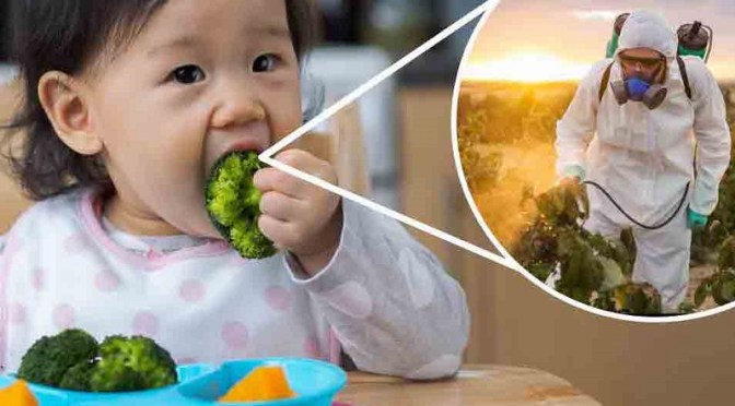 New Study Shows What Happens To Adults & Children When They Switch To Organic Produce