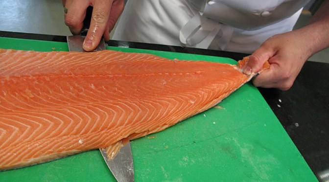 Farmed Salmon — one of the most toxic foods in the world