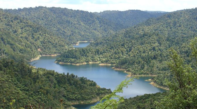 DOCTORS ARE CONCERNED ABOUT 1080 POISON BEING DEPOSITED IN DRINKING WATER