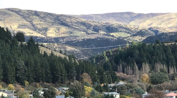 Upcoming aerial 1080 drop, Luggate – ‘unjustifiable & very dangerous to community’ – an ag-pilot speaks out