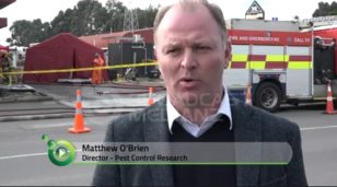 64454130_2376612695952376_7725226554258620416_n