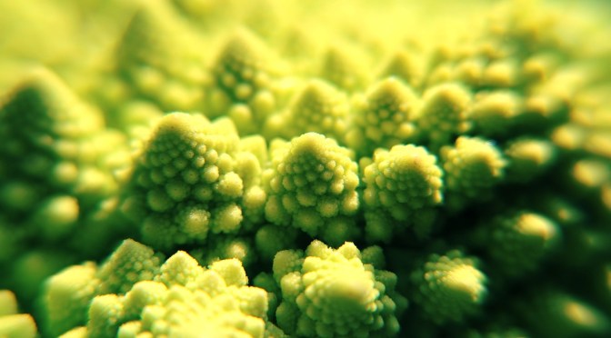 5 powerful cancer fighting foods