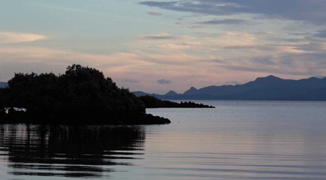 An Ihumātao kuia’s heartfelt plea to Jacinda Adern