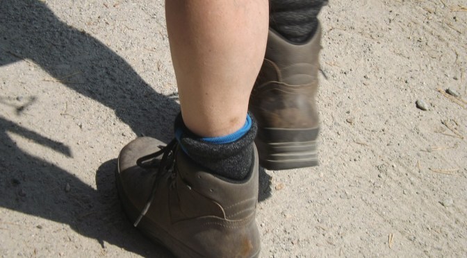 ‘Family face long wait over backpacker’s lost heart’ (2006) & mainstream failed to mention suspected 1080 poisoning