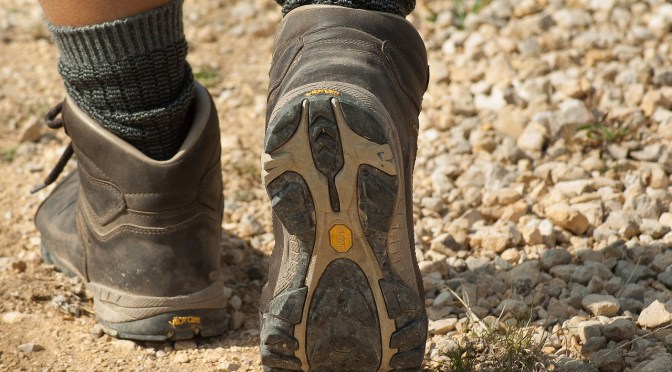 Nydia Track Trampers hit by falling 1080 pellets