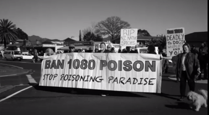 The NZ authorities poison the waterways with 1080 with dubious ‘scientific’ justification … we ALL live downstream & it needs to go