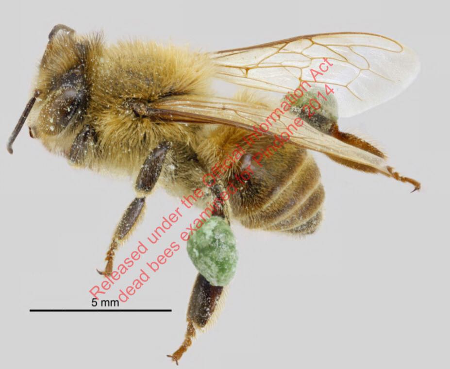 68806169_10157423895102822_982333525392883712_n