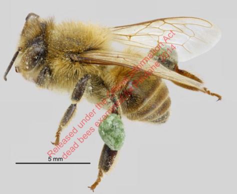 68806169_10157423895102822_982333525392883712_n