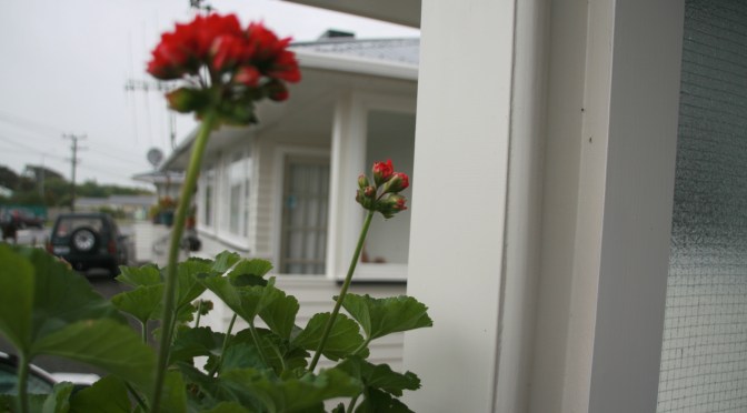 Just 17 months in and Willis & Bond property developers have raised the rents on the former Horowhenua DC pensioner flats (updated)