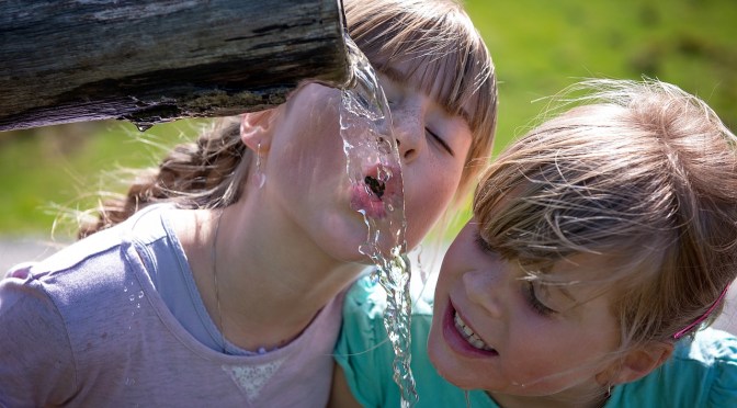 More important info on Milford’s post-aerial 1080 drop water