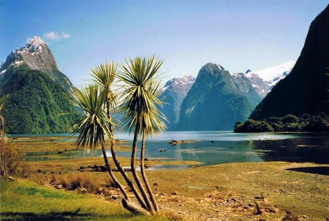 Milford Sound wikimedia Commmons