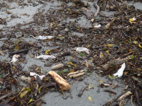 72172916_1269009889950303_8676481245326082048_n