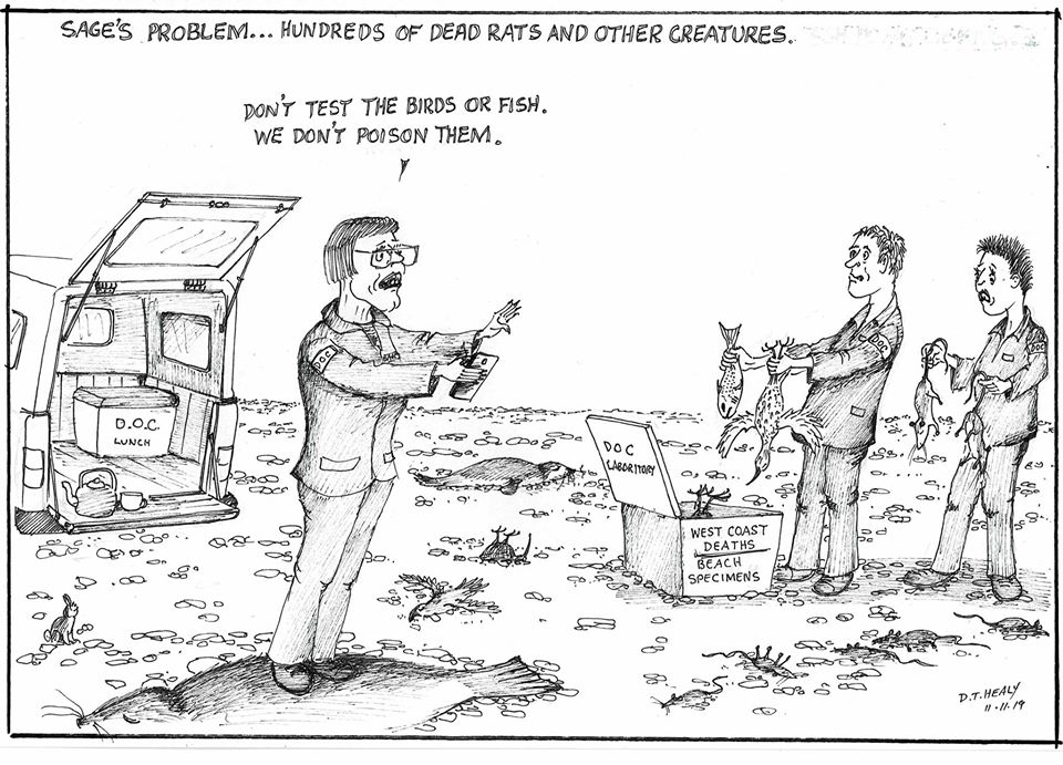 75464131_2495484744065170_8026262109115383808_o