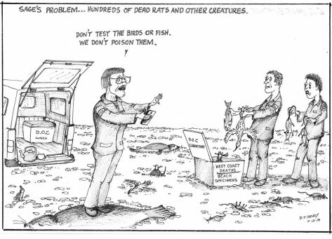 75464131_2495484744065170_8026262109115383808_o