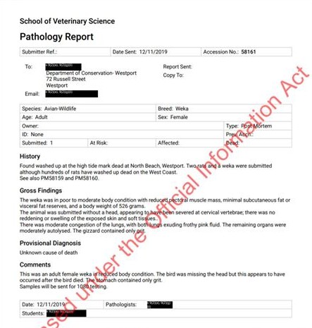 Copy of 77137871_2807092646002721_3590316501648801792_o.jpg