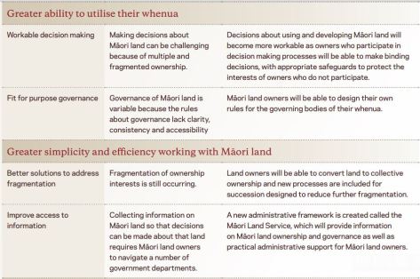 Image result for te ture whenua