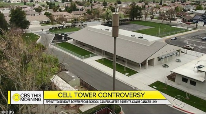 Cell phone tower shut down at elementary school after eight kids are diagnosed with cancer in ‘mysterious’ cluster