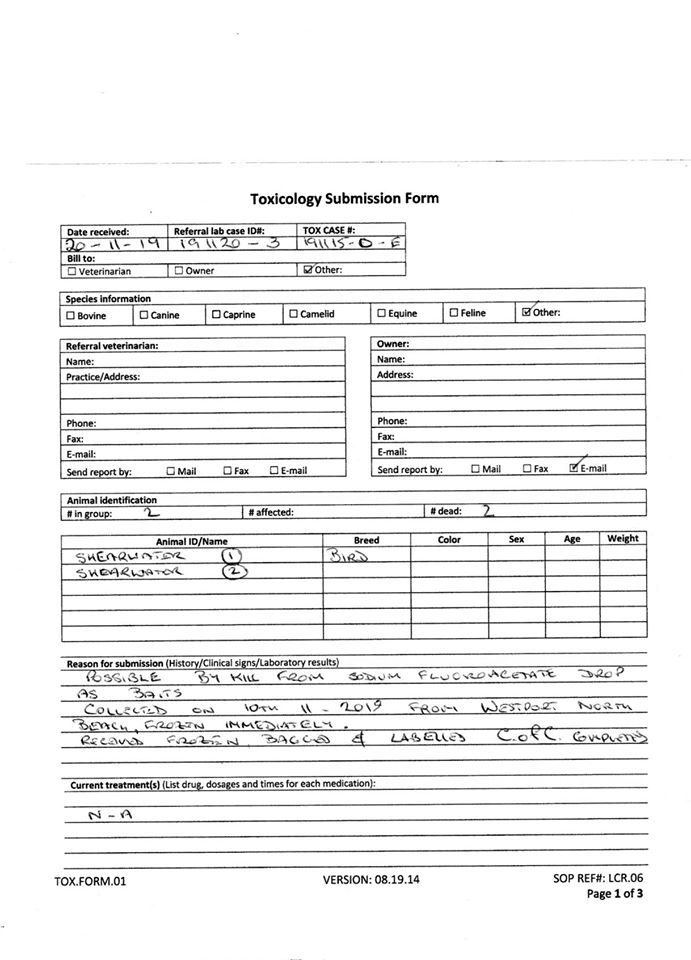 5 independent testing