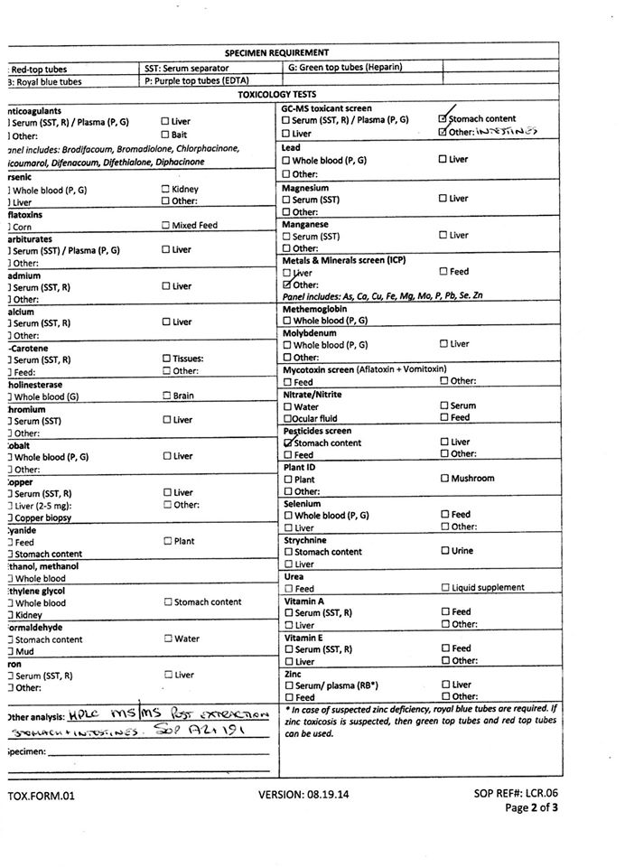 6 independent testing