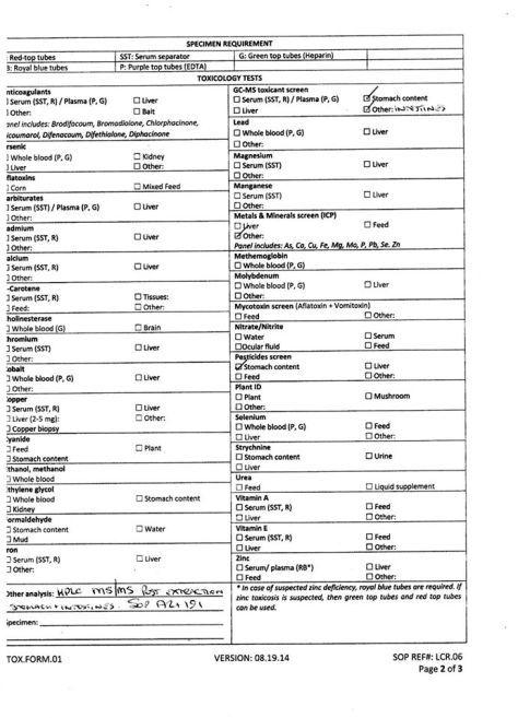 6 independent testing