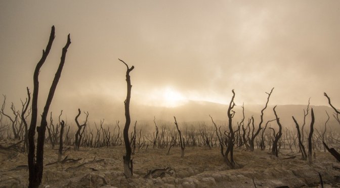 Australia’s manufactured ‘climate crisis’… important info